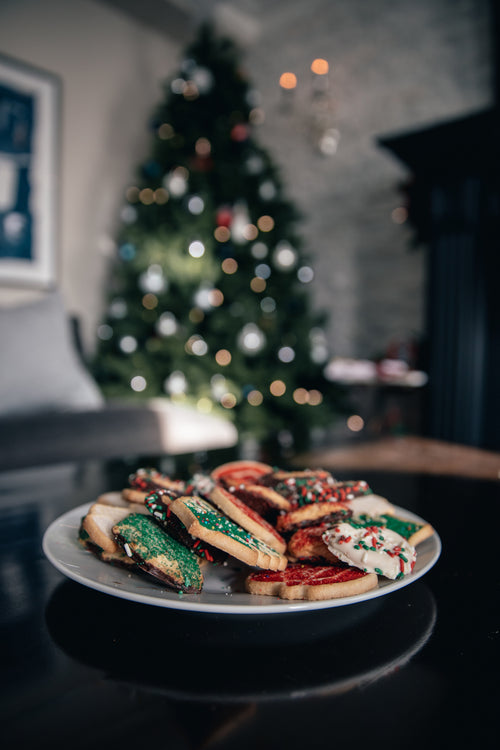 The Christmas Forest 